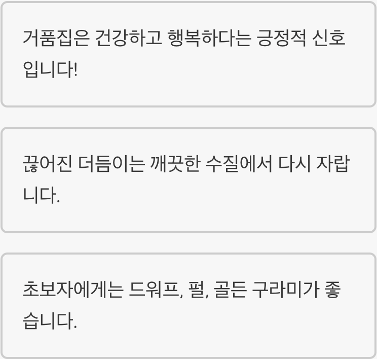 구라미 키우기 A to Z (어항, 먹이, 수질 관리)