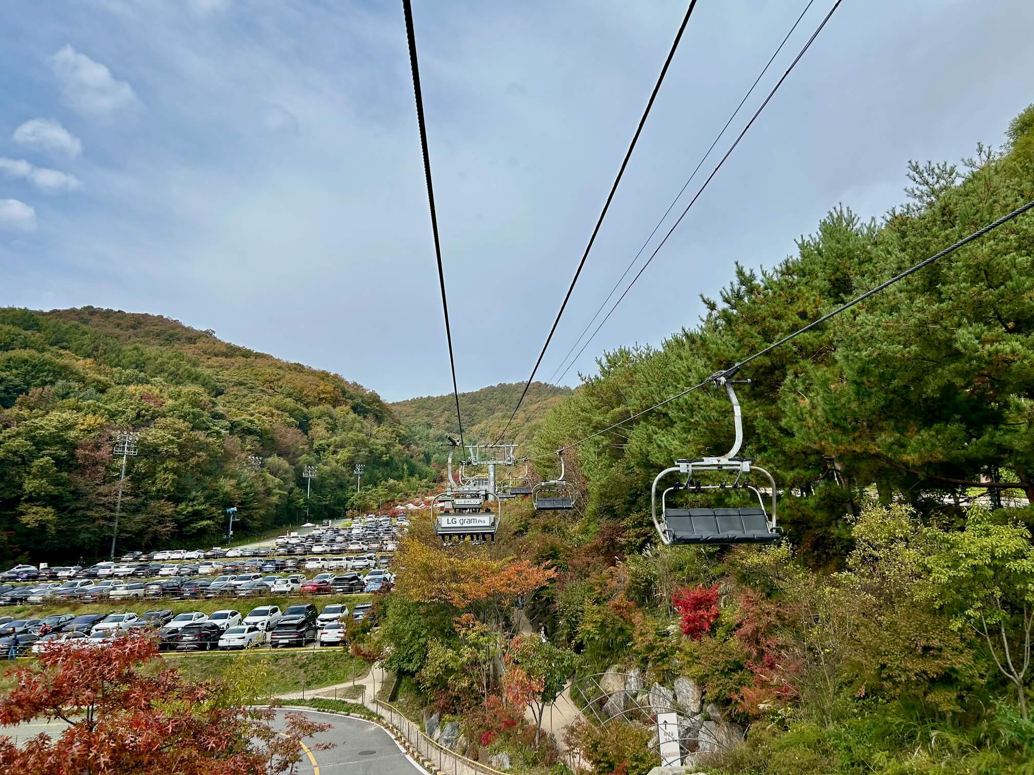 2024년 화담숲 10월 말 가을 단풍