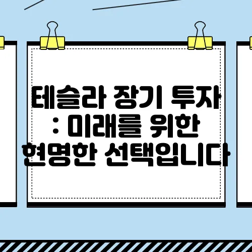 테슬라 장기 투자 : 미래를 위한 현명한 선택입니다