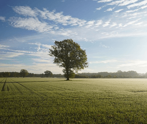 청년내일저축계좌