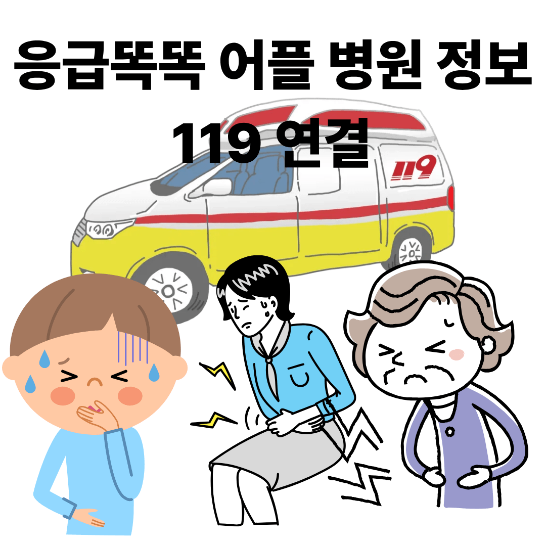 병원 응급실 정보