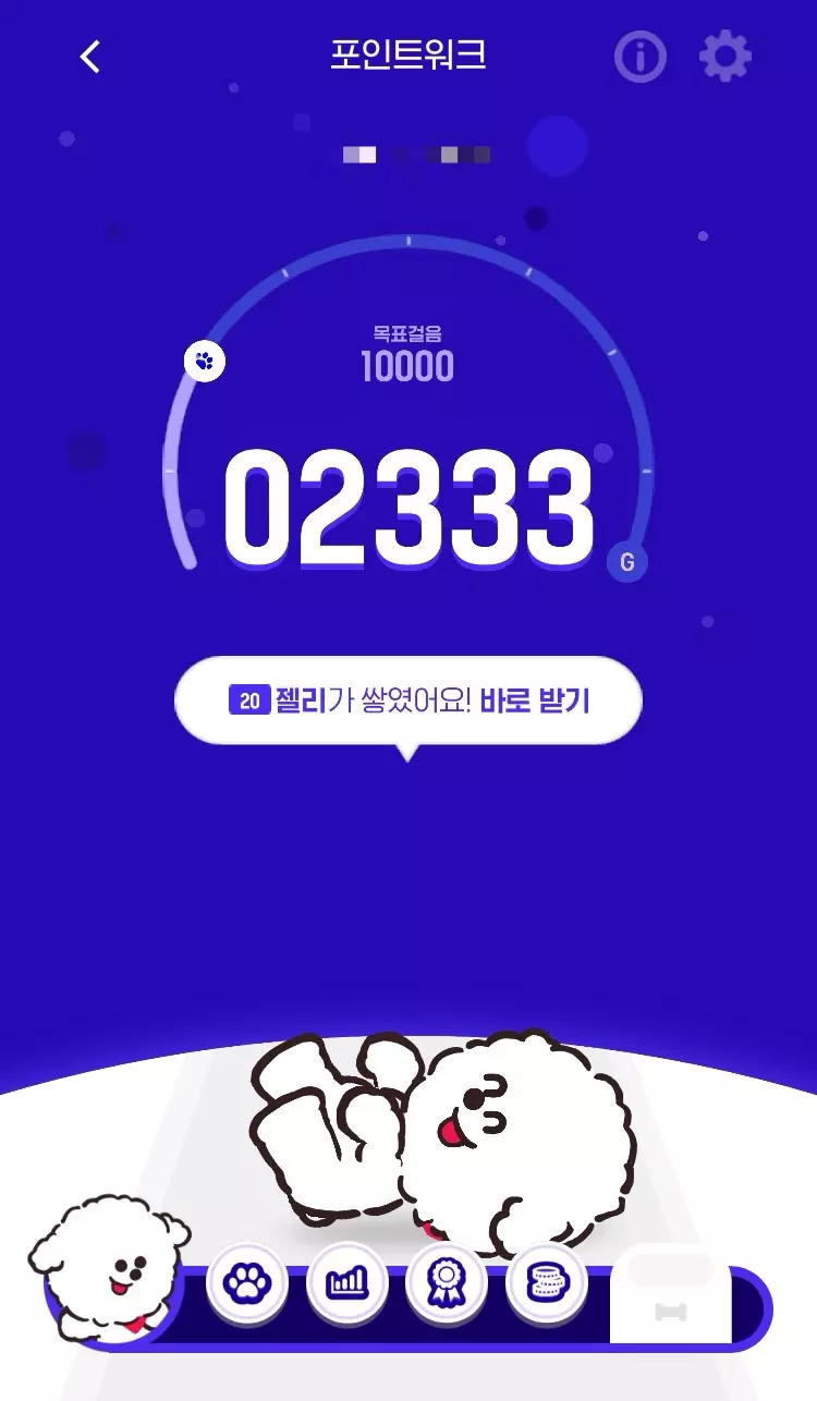 포인트워크 젤리 받기