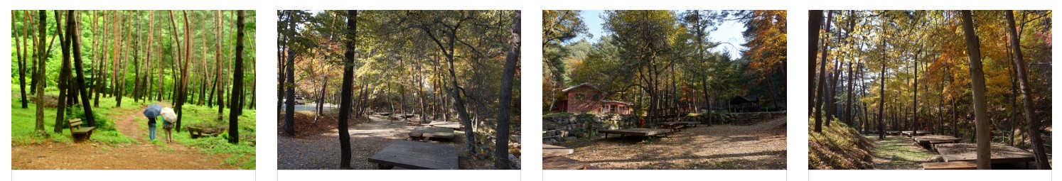 검마산 자연휴양림