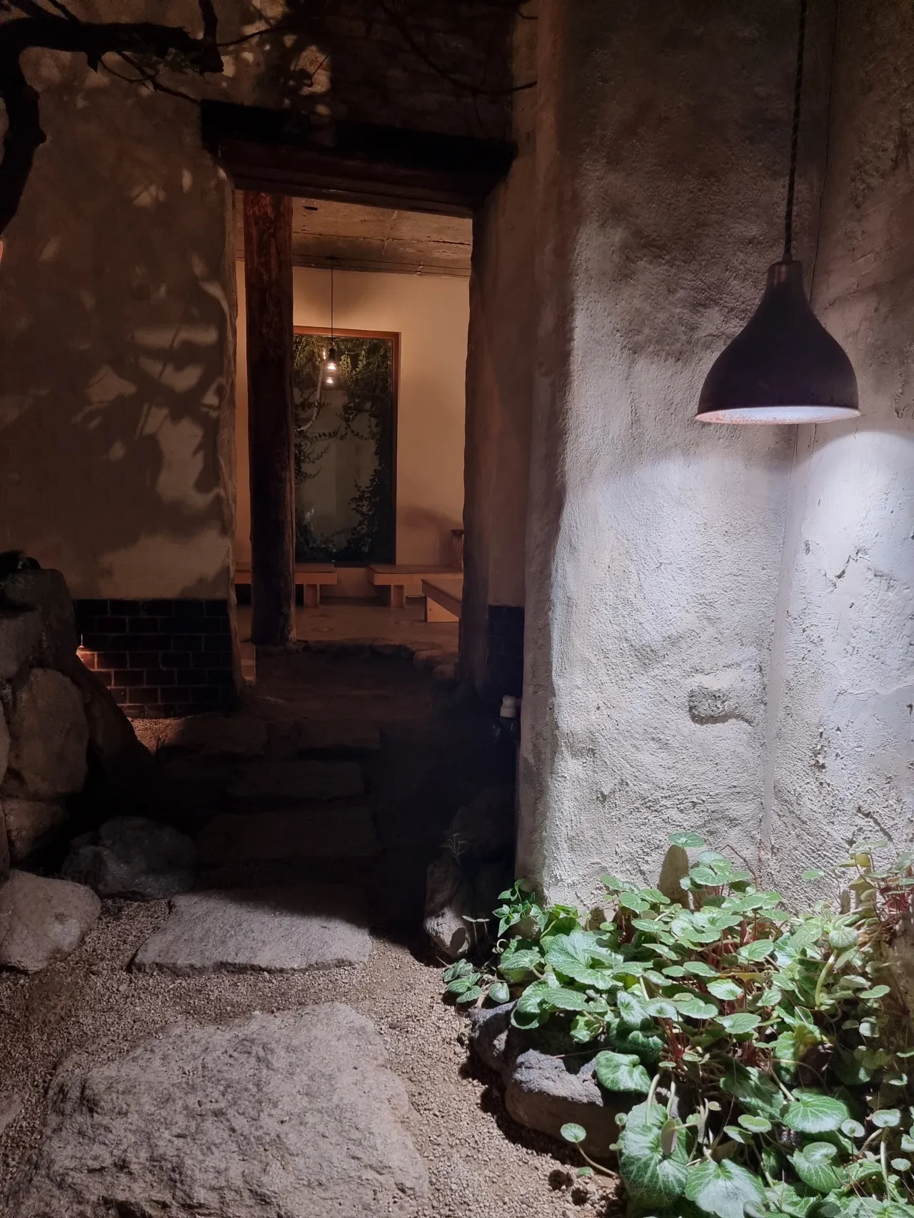 돌담-아래-키작은-식물-그위에-조명
