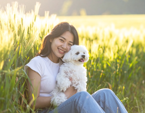 반려견과 함께하는 고창 청보리밭 산책