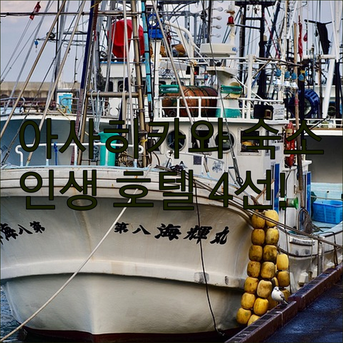 비에이 후라노 여행 아사히카와 인기 ..