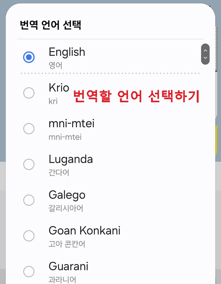 번역 언어 선택 창 보임