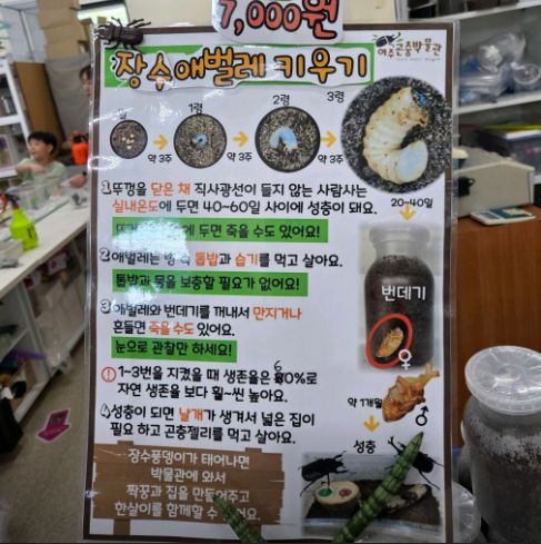 곤충 체험 프로그램