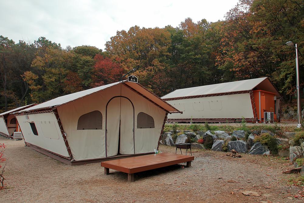 경기도 군포시 초막골생태공원 느티나무야영장 소개