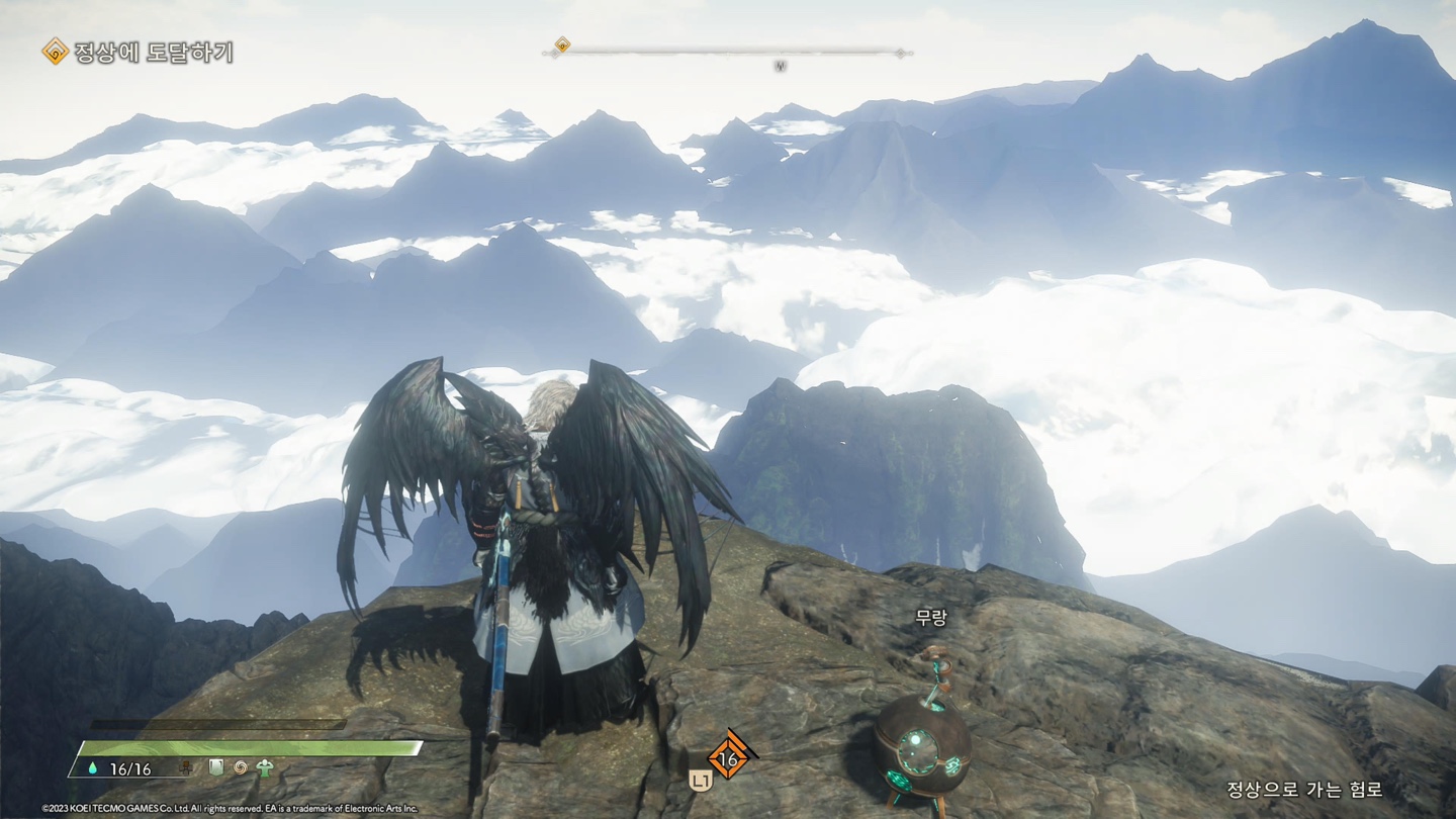 와일드하츠 게임 캡쳐화면