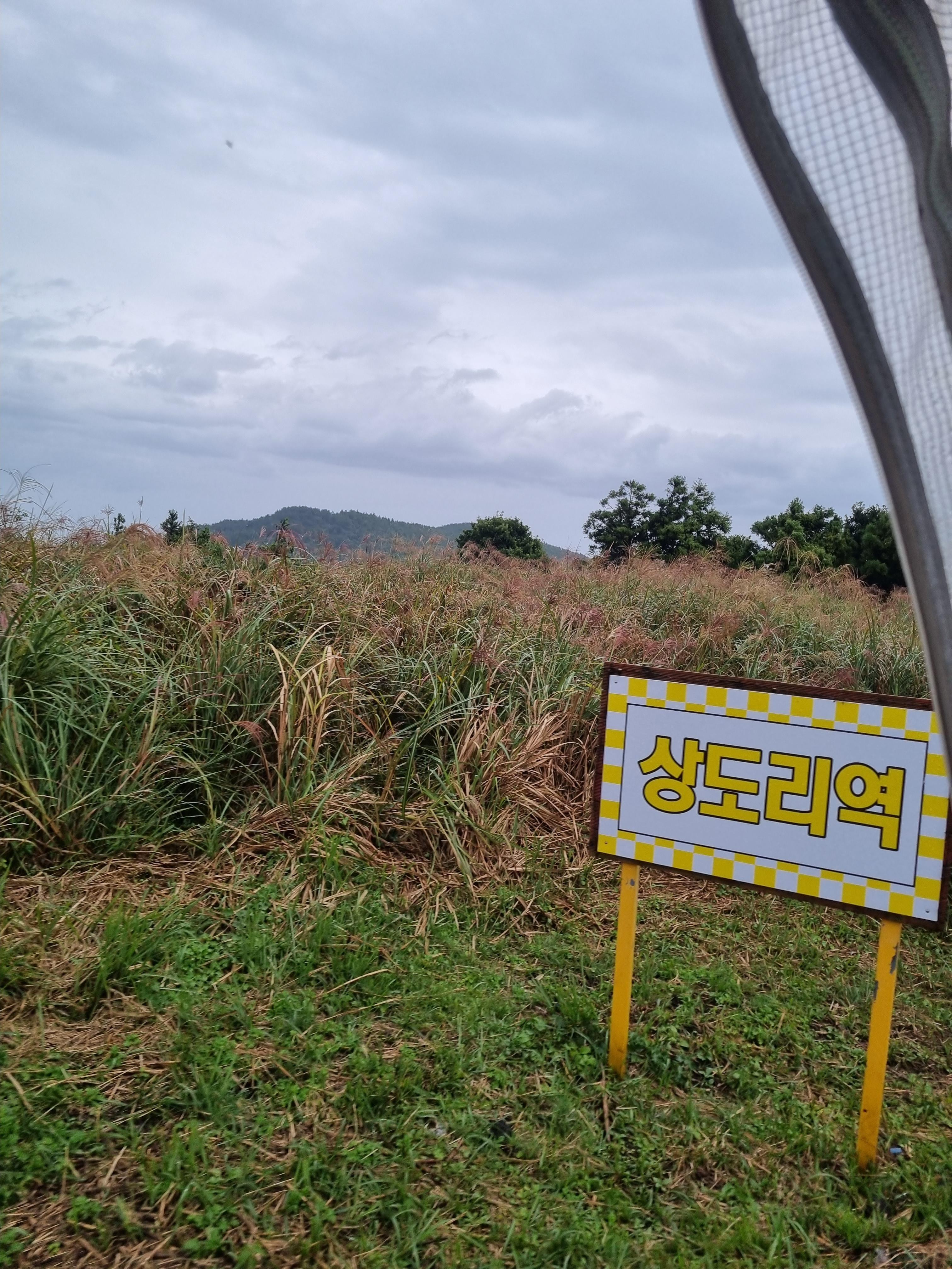 제주레일바이크