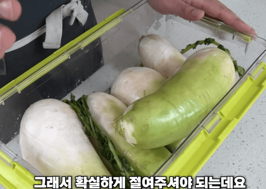 무 절임하기