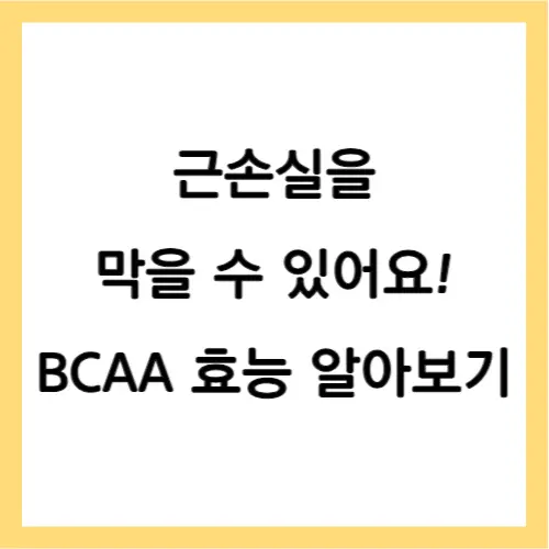 BCAA 효능