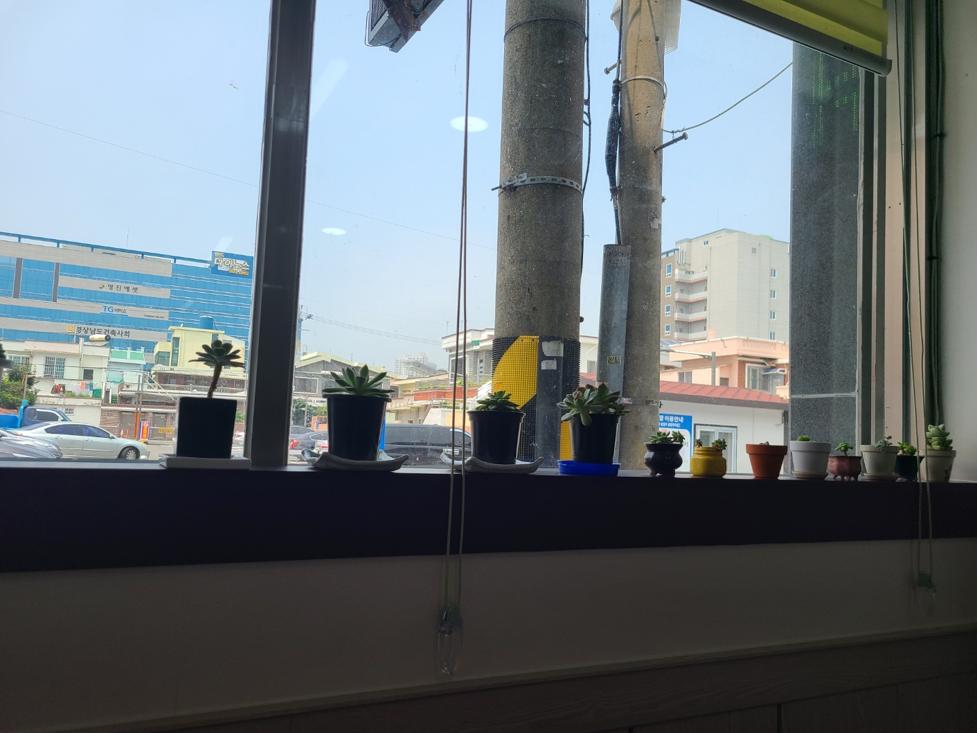 마산 산호동 원조영진코다리조림 식당 내부