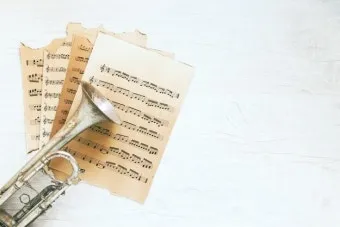 오케스트라를 구성하는 클래식 악기들의 종류와 특징을 정리_14