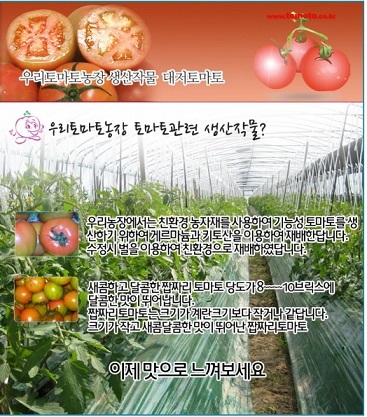 6시내고향-부산-대저토마토