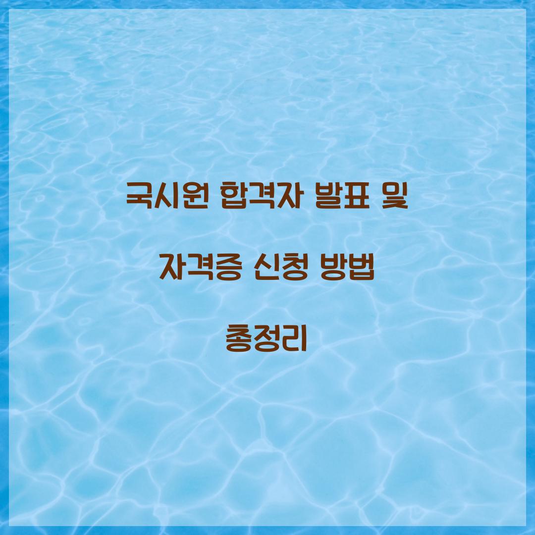 국시원 합격자