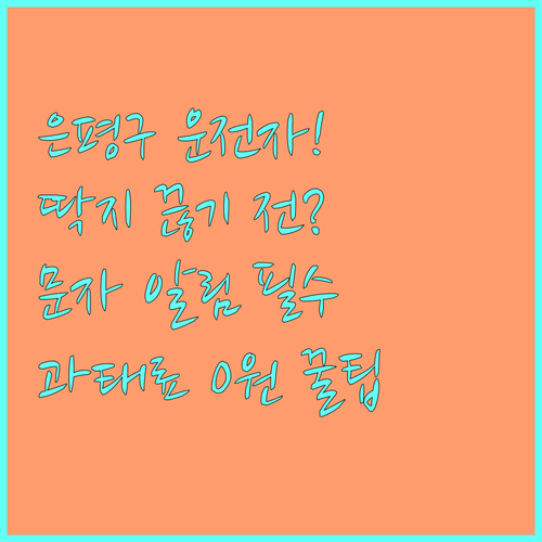 은평구 운전자 필수 주정차 단속 알림..