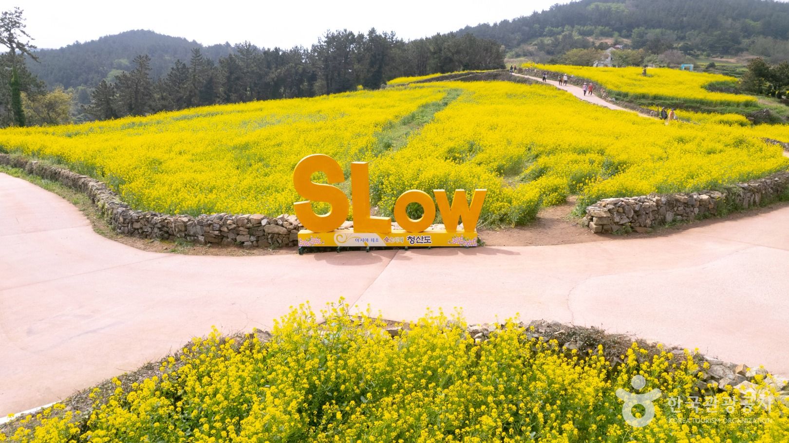 완도 청산도 힐링