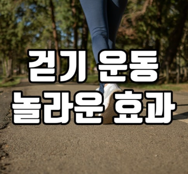 걷기 운동의 장기적 건강효과