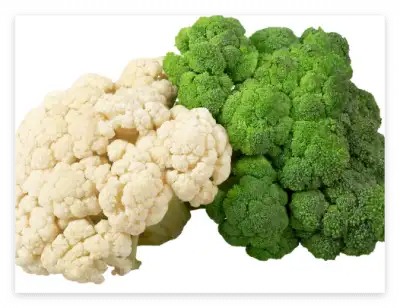 세계 10대 슈퍼푸드 종류와 효능