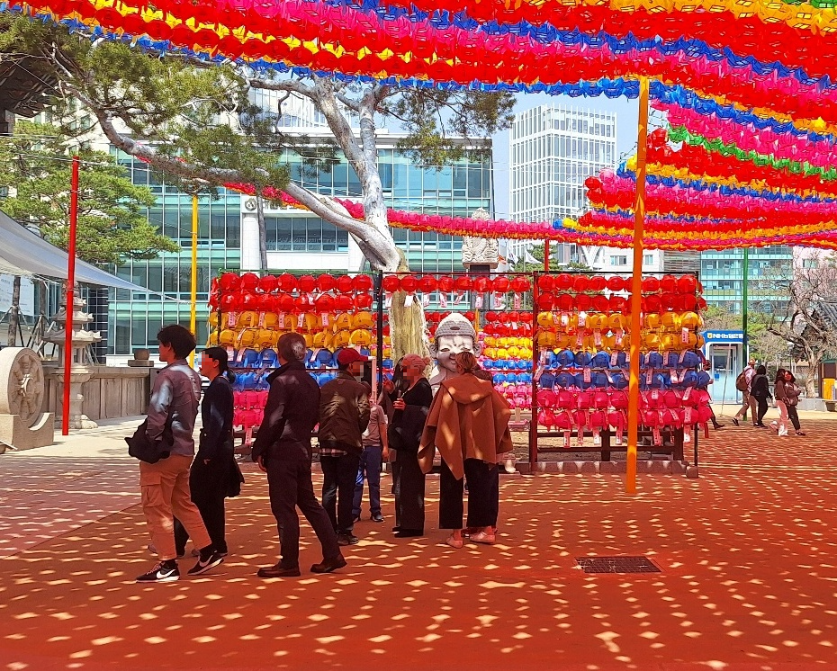 조계사-봄꽃-힐링-6