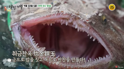 백반기행 식당8