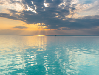 망막 박리 증상