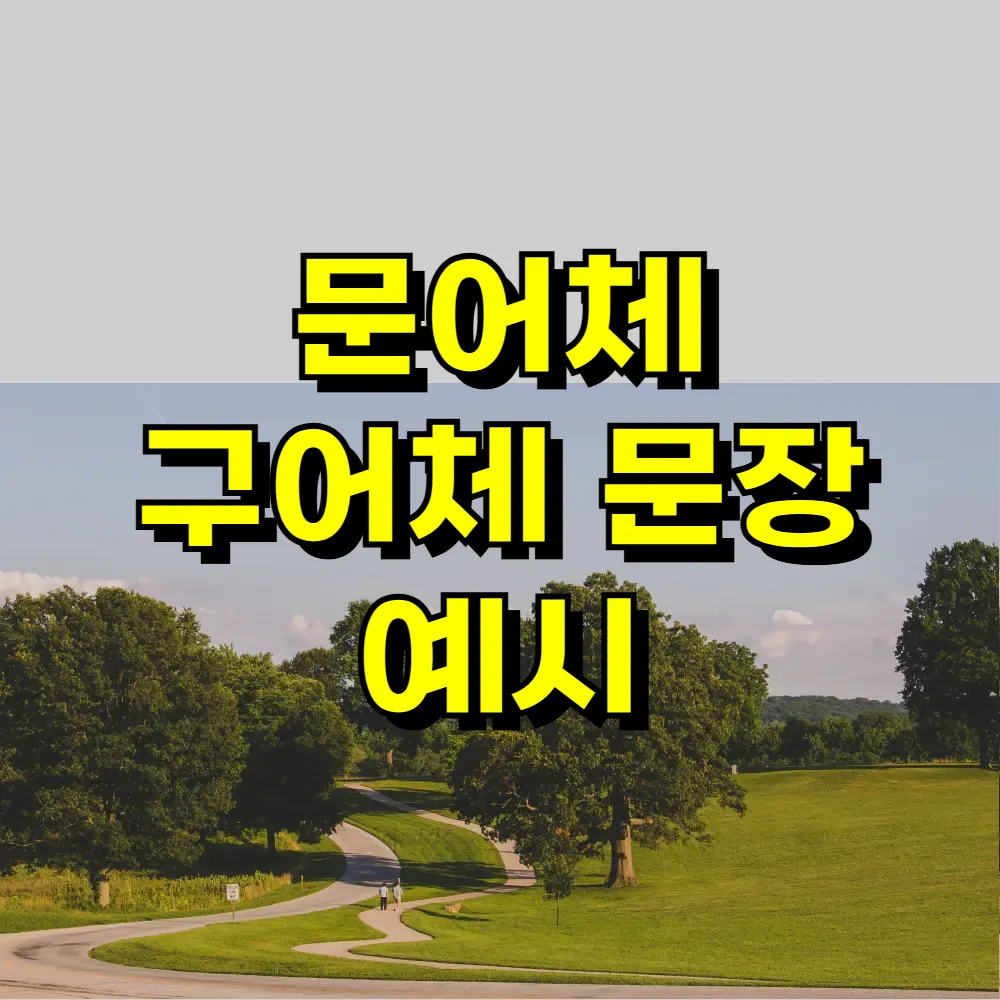 문어체 구어체 문장 예시