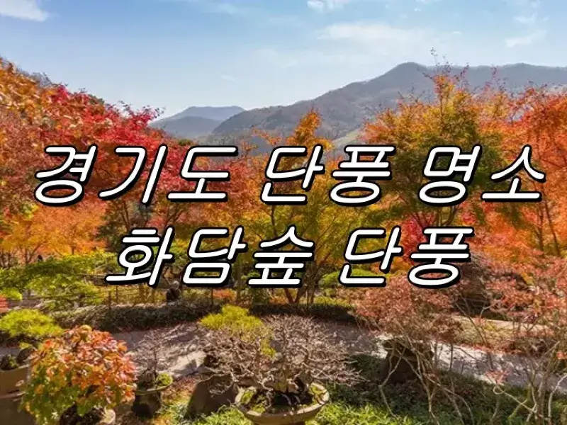 화담숲 예약하기 | 100% 성공하는 팁