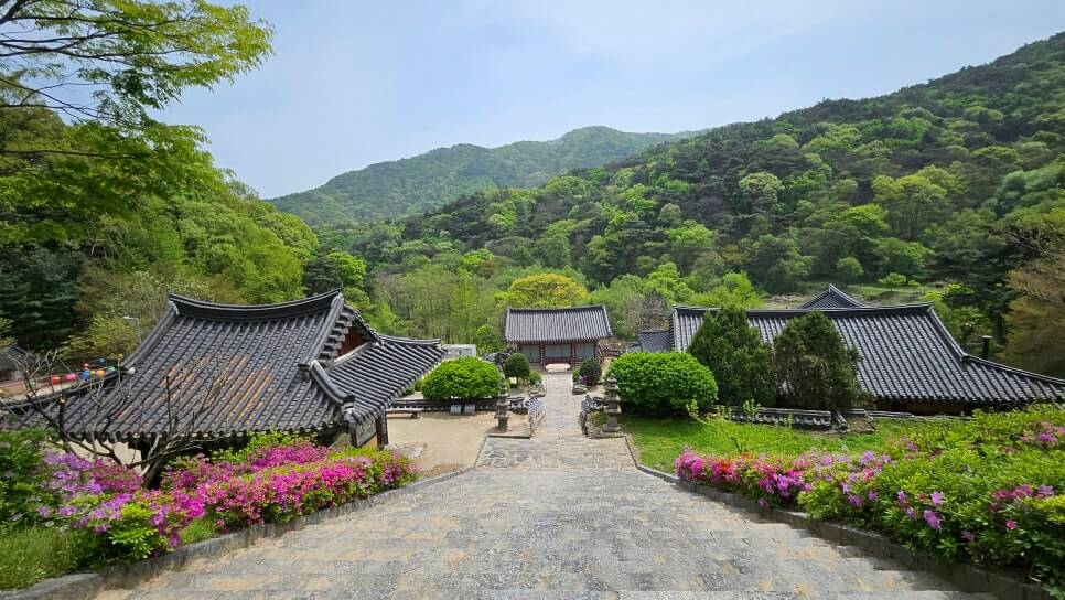 안성 석남사 : 드라마 도깨비의 풍경과 천년 고찰에서 만나는 역사와 자연의 조화