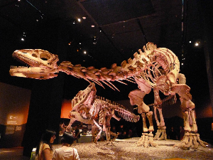 싱가포르 여행 추천 아트 사이언스 뮤지엄