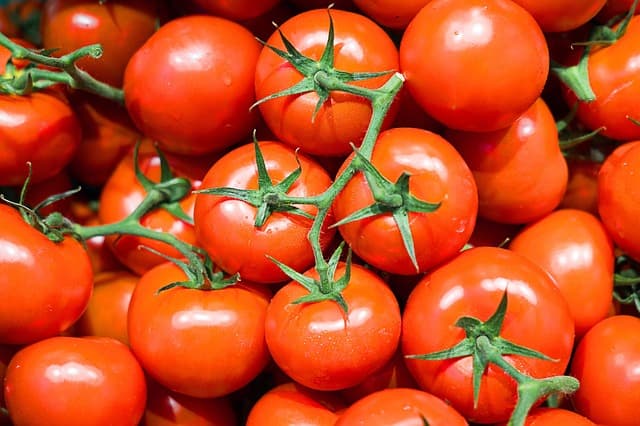 희귀한 전통 의식과 축제 스페인 토마토 던지기 축제(La Tomatina)