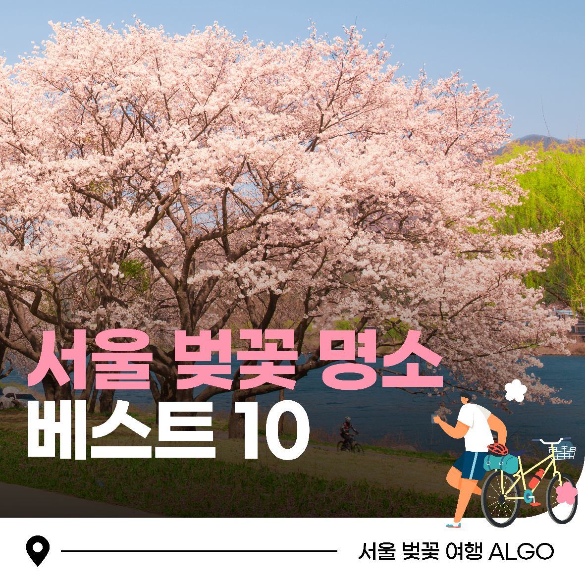 2025 서울 벚꽃 명소 베스트 10 &amp; 데이트 코스 맛집 총정리