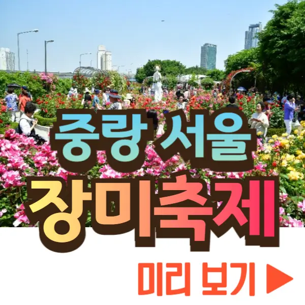 중랑 서울 장미축제