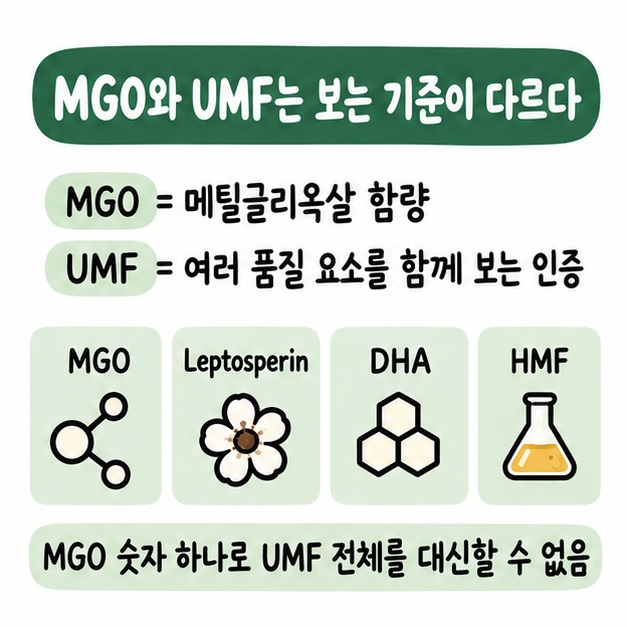 MGO는 메틸글리옥살 함량이고 UMF는 MGO와 Leptosperin, DHA, HMF를 함께 보는 인증 체계임을 비교한 카드