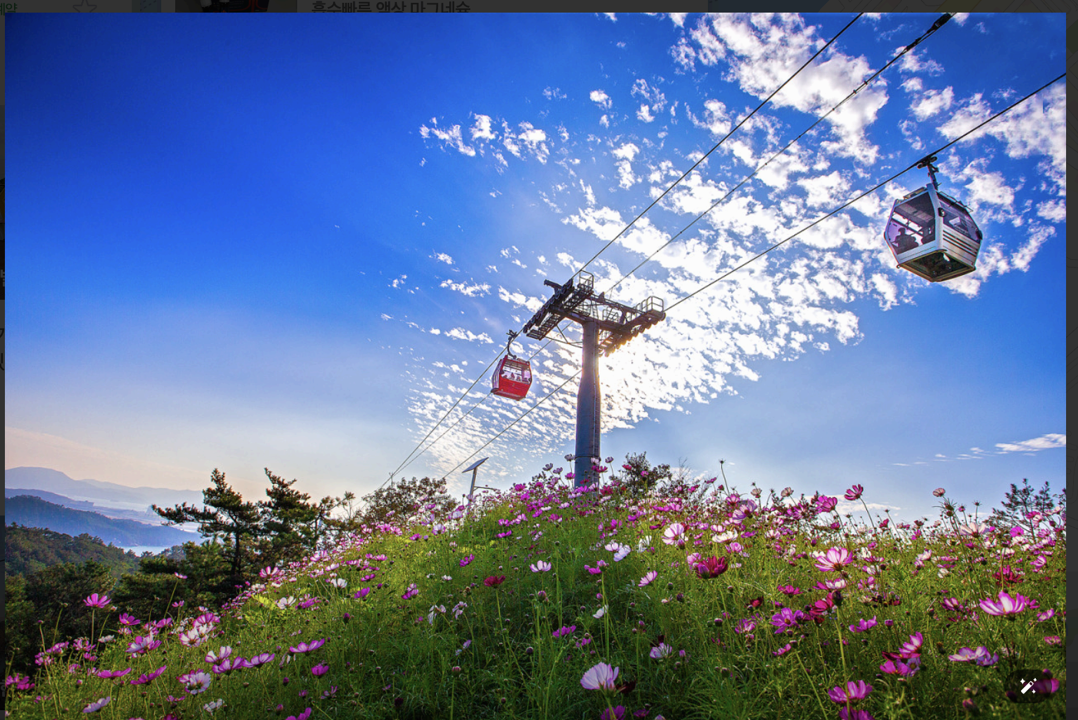 목포 해상케이블카 완전정복! 티켓·탑승장·주차장 꿀팁까지 총정리!