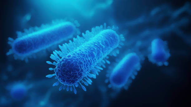 남성을 위한 필수 영양제 추천!!! 남성 영양제 베스트 7!!!!