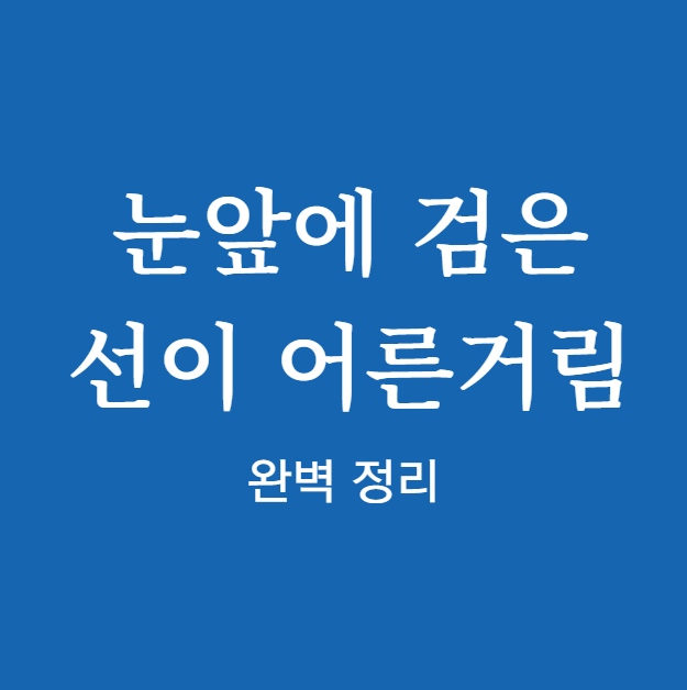 눈앞에 검은 선이 어른거림 ❘ 원인 확인