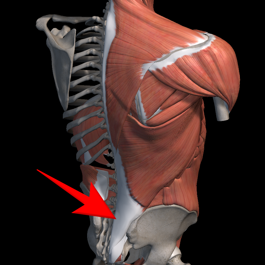 허리통증 원인 4가지