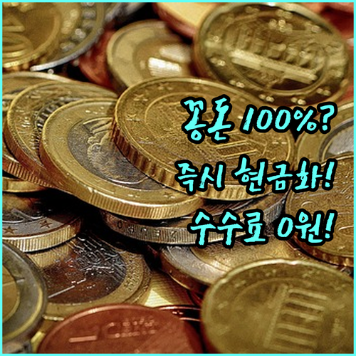 숨은 카드 포인트 100% 현금 전환..
