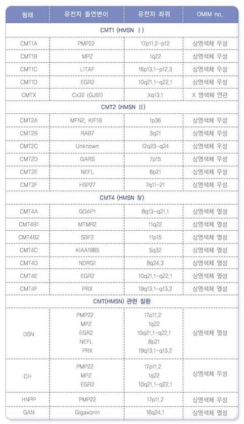 유전성 운동 및 감각 신경병증(HMSN, 샤르코-마리-투스병) 원인·증상·치료 총정리