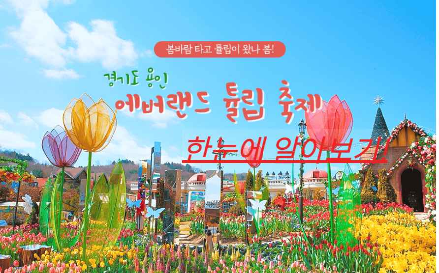 에버랜드 튤립 축제