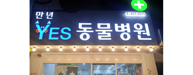 대전 서구 동물병원