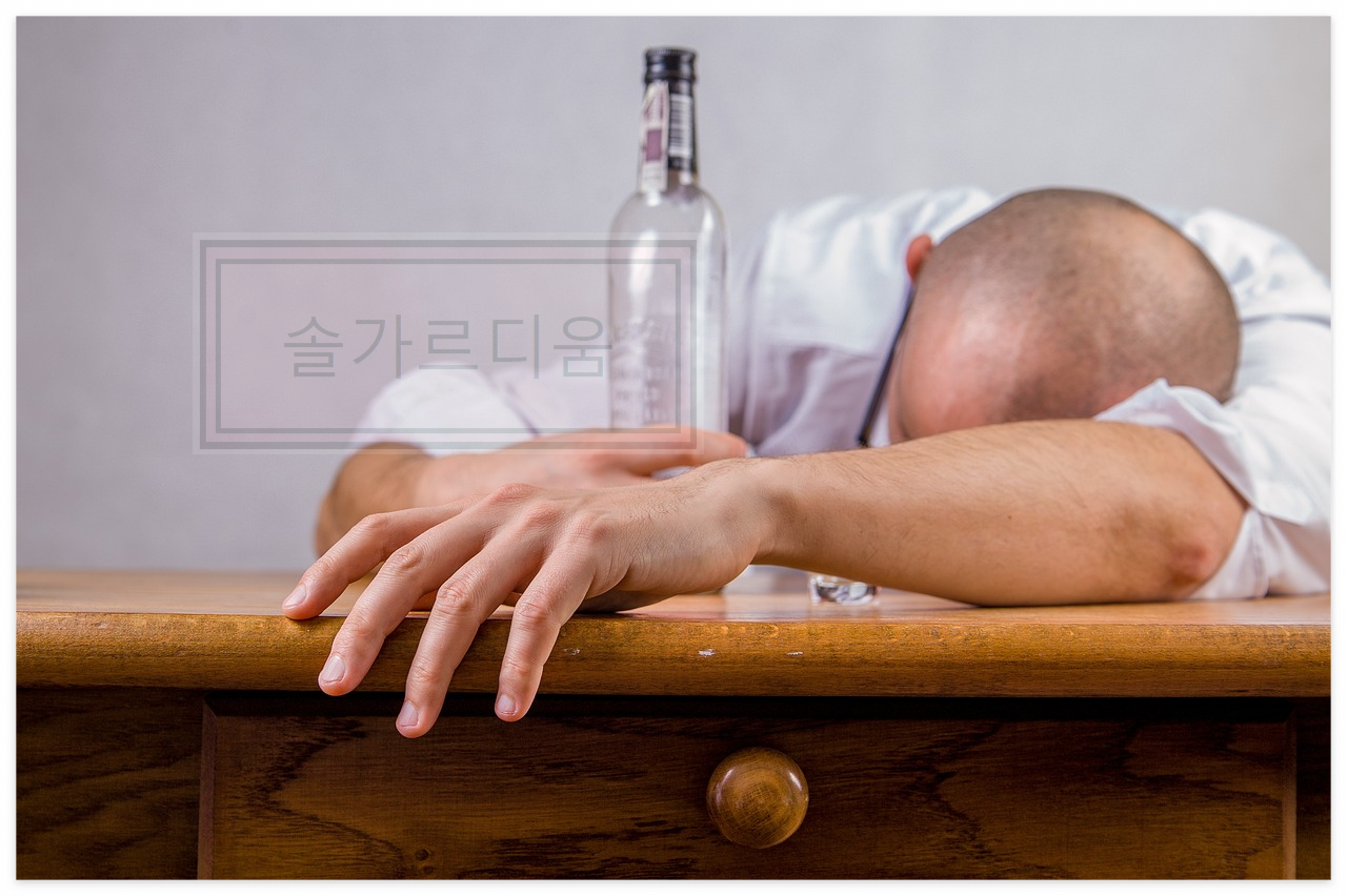 술 술주정 음주