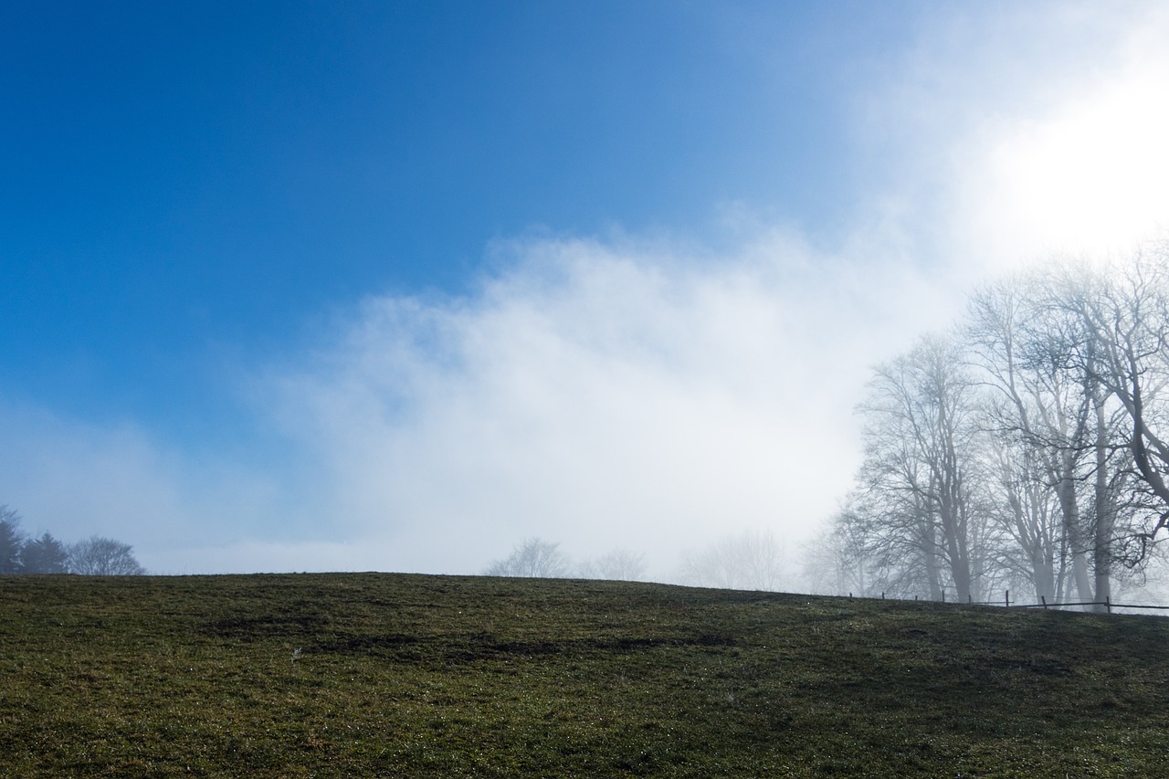 50대에 도전해서 부자되는 법
