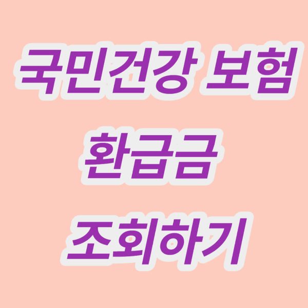 국민건강보험 환급금(지원금)