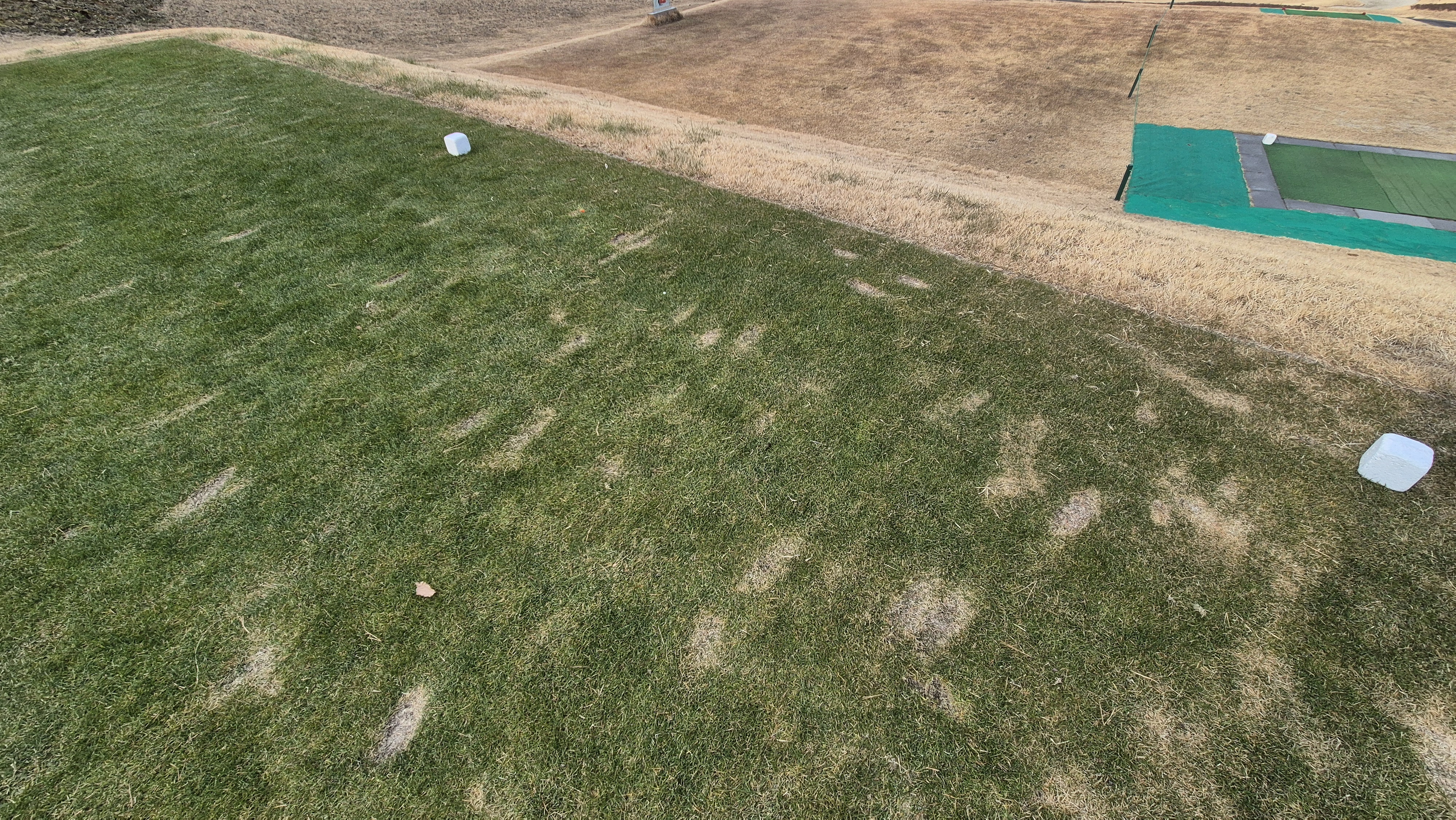 모나크cc 라운드 후기 티잉구역상태