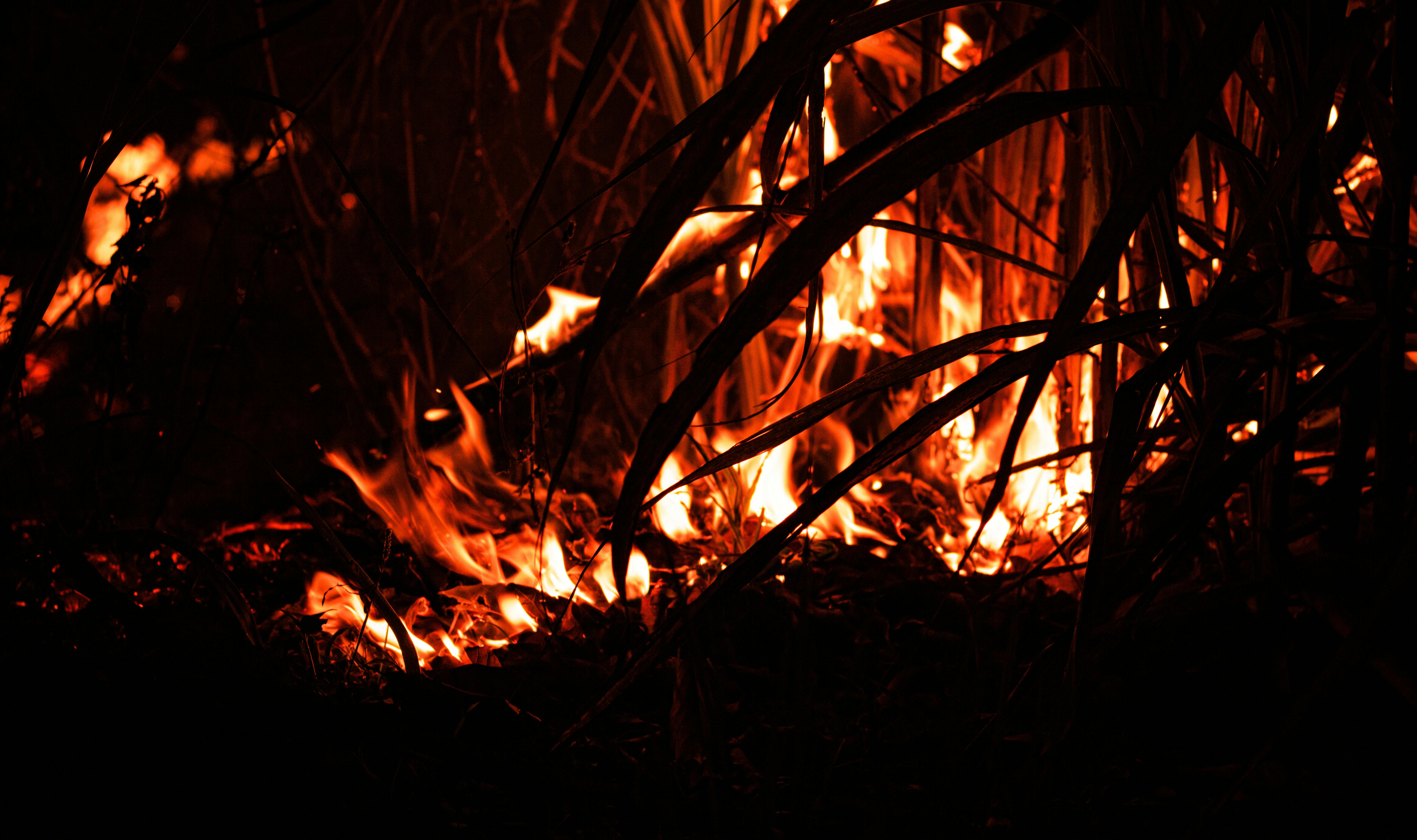 경상북도 긴급재난지원금