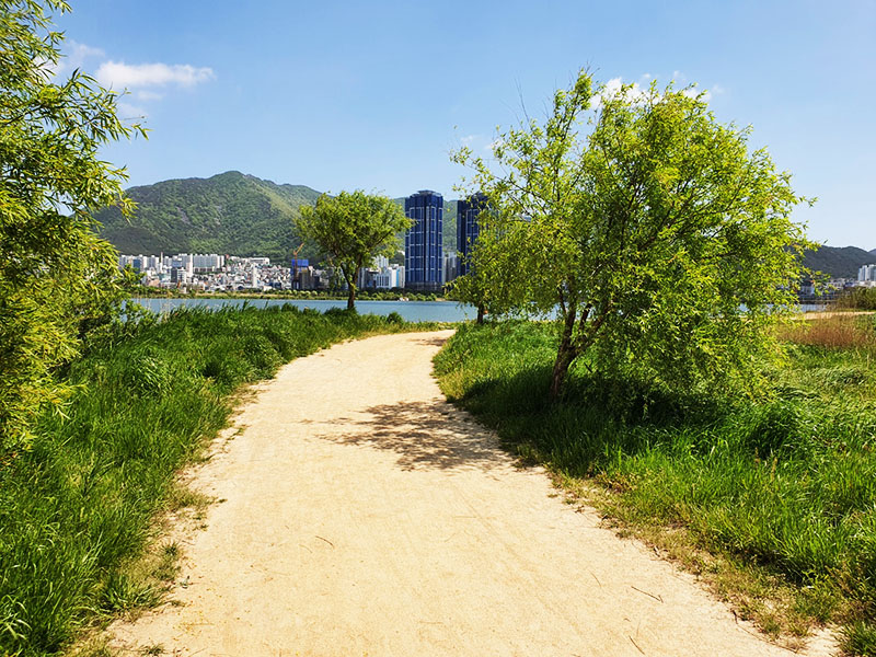 부산 대저생태공원 대저캠핑장 소개
